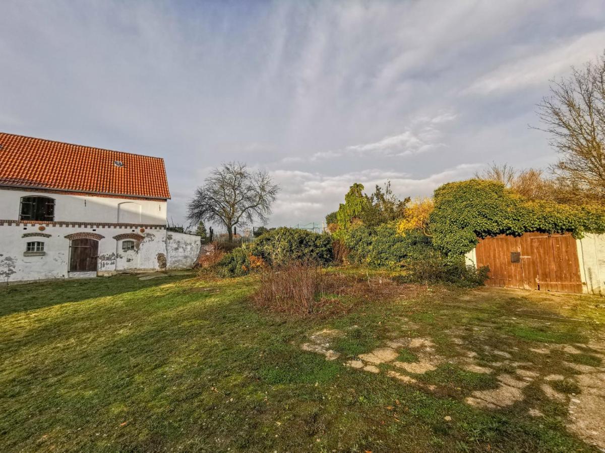 Apartment In Herrenhaus Gross Pinnow Esterno foto